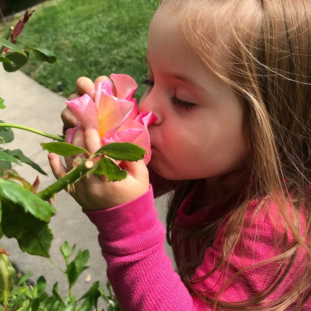 Meet your Posher, Kassidy